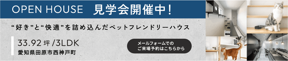 イベントのご案内